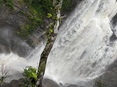 -海南热带雨林国家公园吊罗山景区