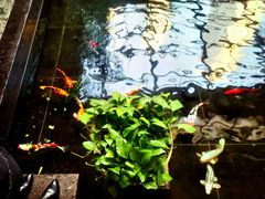 -天津海河悦榕庄·Lobby Lounge大堂吧