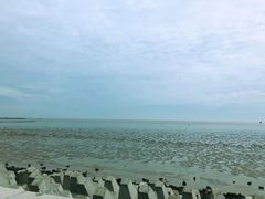 -上海棕榈滩海景酒店