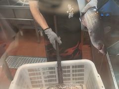 -鱼酷活鱼烤鱼(沈阳大悦城店)