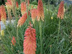 -贵阳市花溪国家城市湿地公园