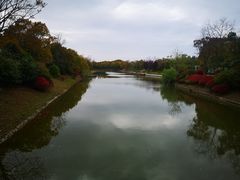 -上海海湾国家森林公园