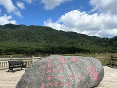 -大九湖