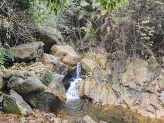 -鼎湖山风景区