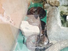 -上海大自然野生昆虫馆