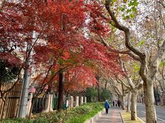 -一尺花园(安和花园店)