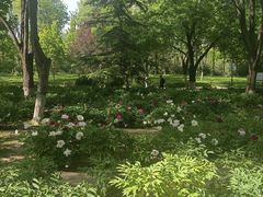 -济南植物园