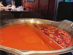 蕃茄麻辣锅-九鼎轩脆毛肚火锅(三钢里店)