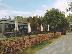 -田园东方蜜桃村的田野营地