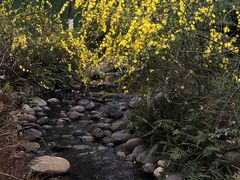 -成飞公园