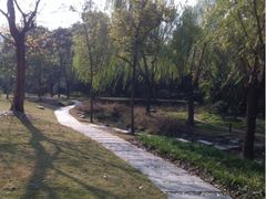 梦清园-苏州河梦清园环保主题公园