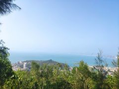 -广东惠东海龟国家级自然保护区