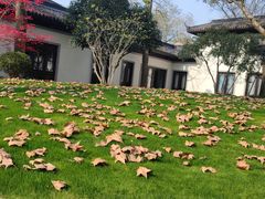 -杭州西湖柳莺里酒店