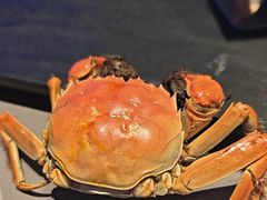 -奔海甄选·活鲜刺身铁板烧自助(太原里店)