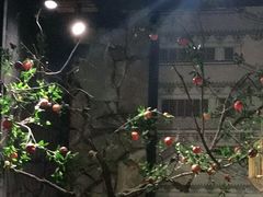 -长安记·大美陕菜(大族广场店)