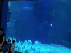 -石家庄海洋公园