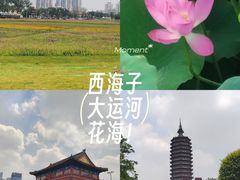 -西海子公园