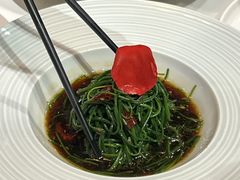 -荟廷·晶萃(陆家嘴尚悦湾店)