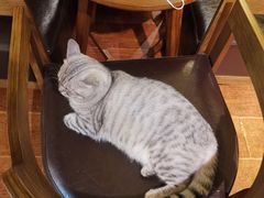 -H立方实景剧情密室(天河旗舰店)