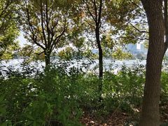 -美兰湖景区