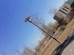 -莫子山公园
