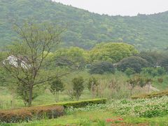 -龙寺生态园