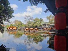 -侨美·唐荔园·40年地道粤菜