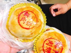 鲜肉月饼-沈大成(城隍庙店)