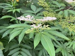 -马王堆汉墓遗址