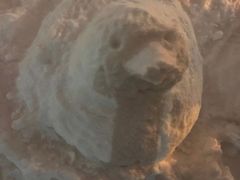 -千纸鹤嫩汁烤肉(学府店)