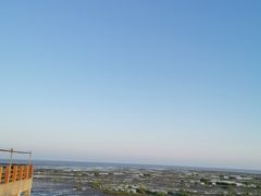-奉贤海滩