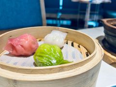 -点都德·毕德寮