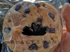 -BLACKSWAN黑天鹅(环球店)