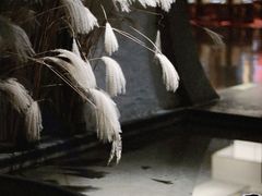 -九朝会昆曲·宴(望京店)