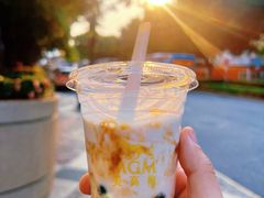 -金莲花广场