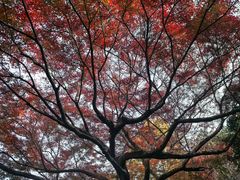 -浙江大学(玉泉校区)