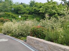 -燕儿岛山公园