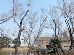 -上海滨江森林公园