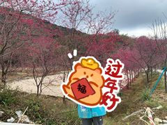 -广州市石门国家森林公园
