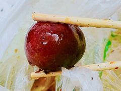 傣味李子-雪儿钱局泡菜