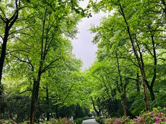 -杭州植物园