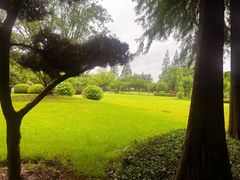 -中共上海市委党校 上海行政学院