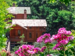 -九如山休闲旅游度假区
