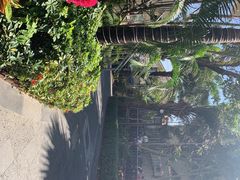 -亚龙湾亚泰商业街