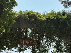 -朴园