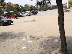 -日照海滨国家森林公园