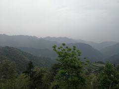 -湖南四明山国家森林公园