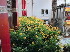 -尼玛藏家风味园(阿山食城店)