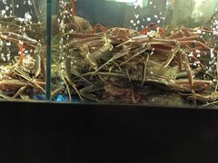 -蟹之国·精品蟹料理(极地店)