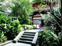 -新加坡佛牙寺龙华院
